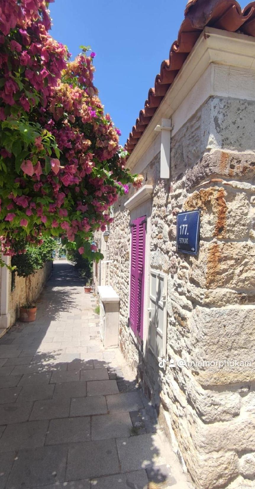 Mi Amor Phokaia Foça Buitenkant foto